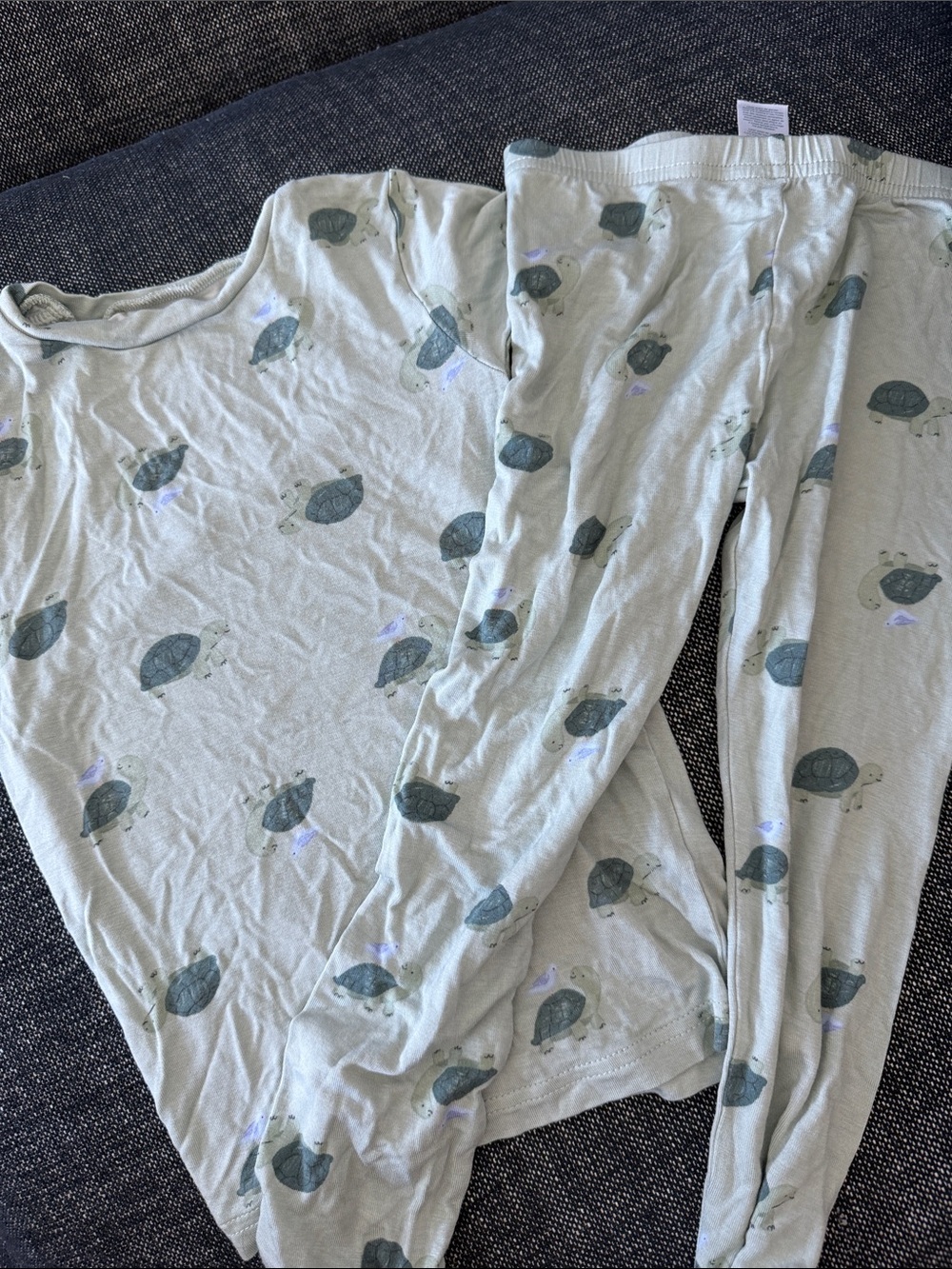 Carter's Light Sage Turtle-Print Pajama Set